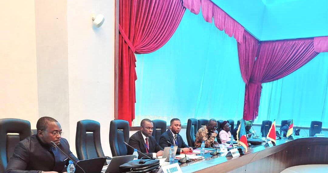 Una delegación del MPDE, y del Departamento de Integración Regional asiste a la Vigesima Desion Ordinnaria del COPIL-PREF-CEMAC en libreville.