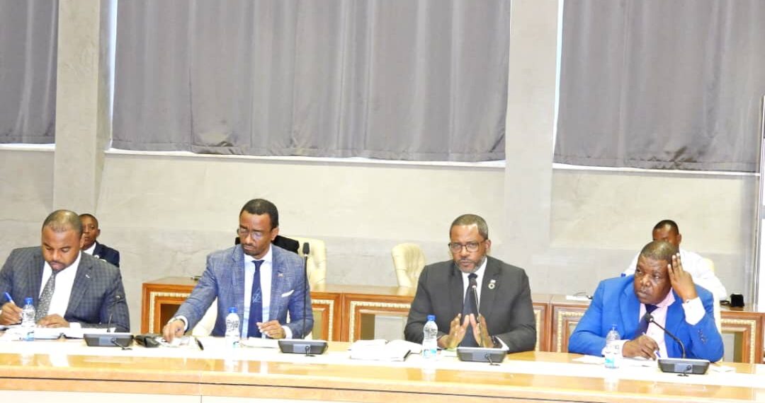 El Ministerio de Planificación y Diversificación Económica, presenta El Anteproyecto de su Presupuestos para El Ejercicio 2025.