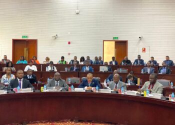 Nota de prensa de la Segunda Sesión Ordinaria de la Célula Nacional de Vigilancia Multilateral de la CEMAC 2024