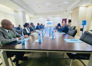 La Cámara de Comercio Escandinava para África Expresa su satisfacción durante el FEDE en Bata.